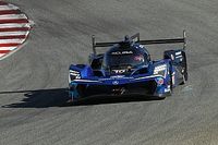 Wayne Taylor Racing to add second Acura in 2024 IMSA season
